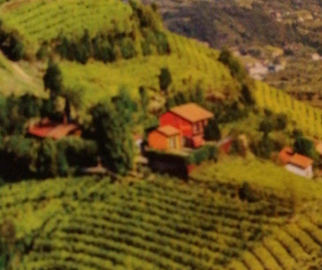 Agriturismo La Preara Monteforte dʼAlpone Exterior foto